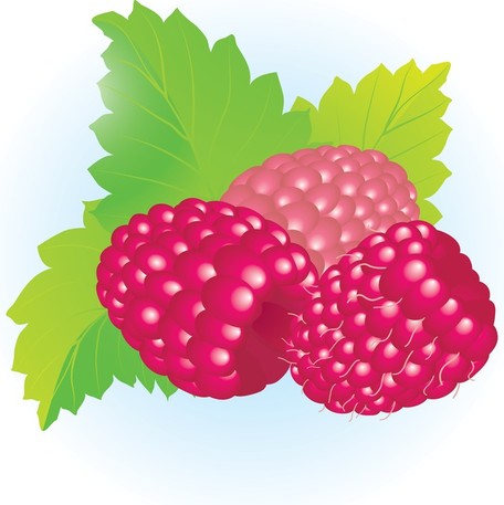 Raspberry clipart #RaspberryClipart, Fruit clip art photo.