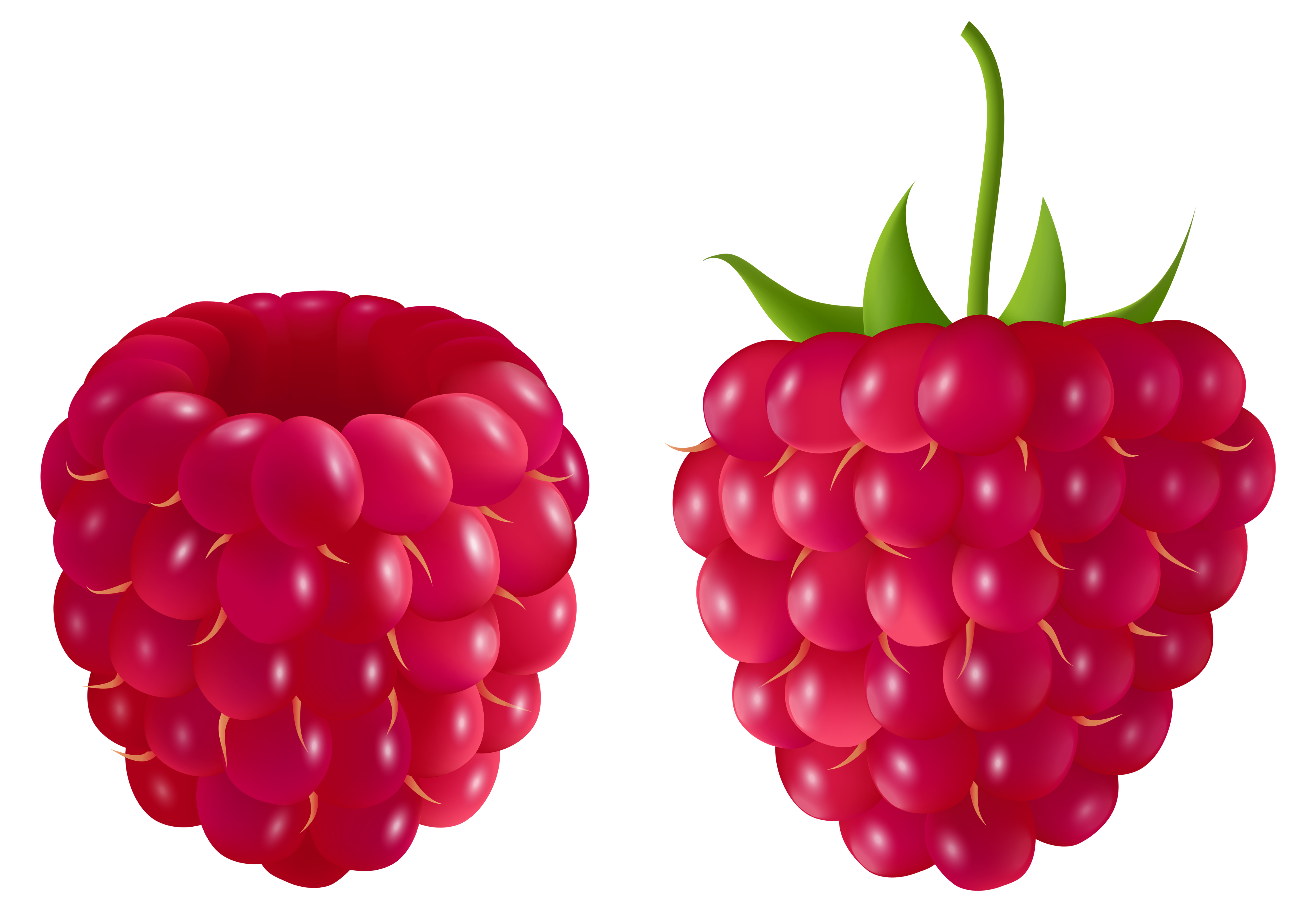 Transparent Raspberry PNG Clipart Picture.