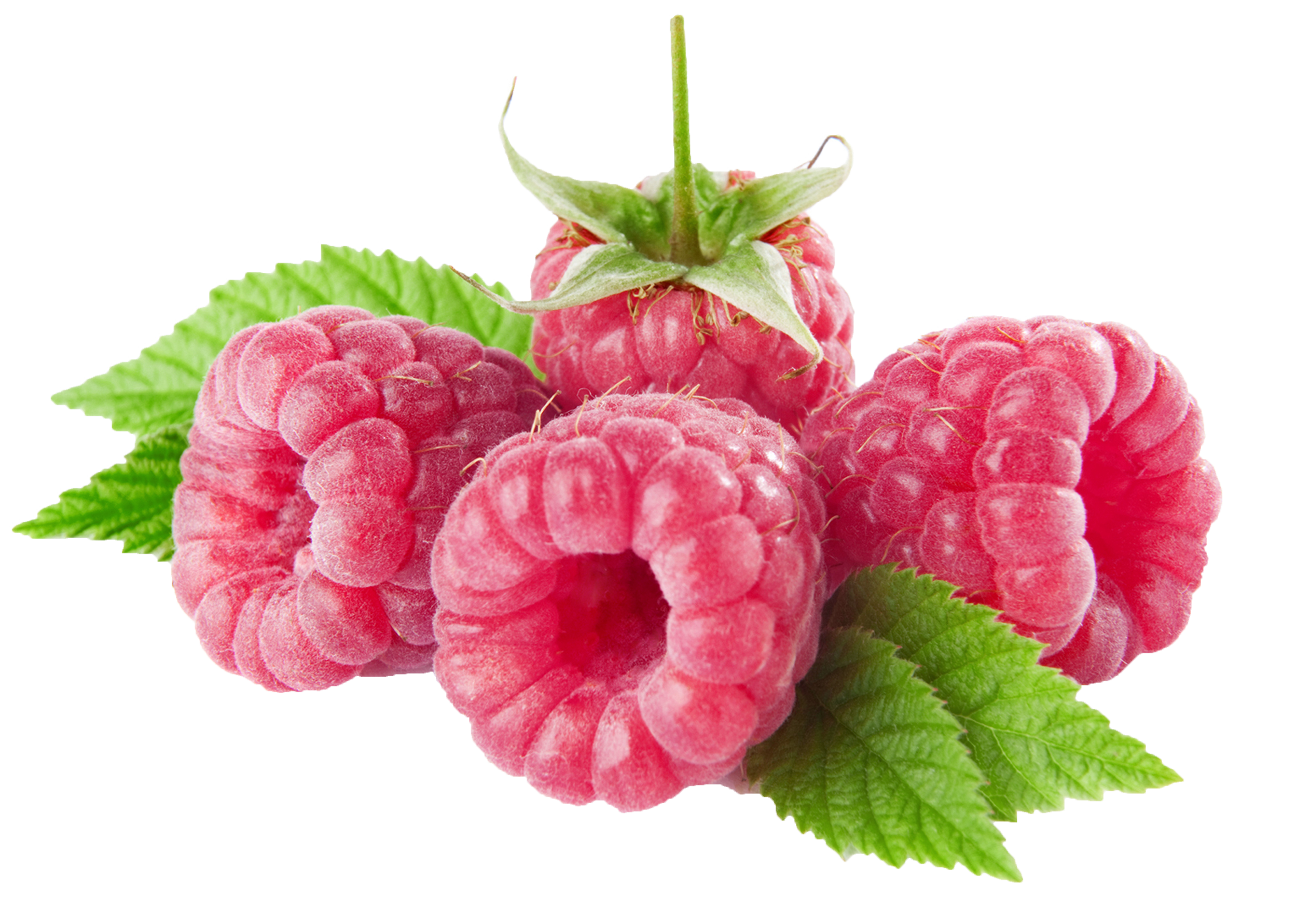 Raspberries PNG Clipart.