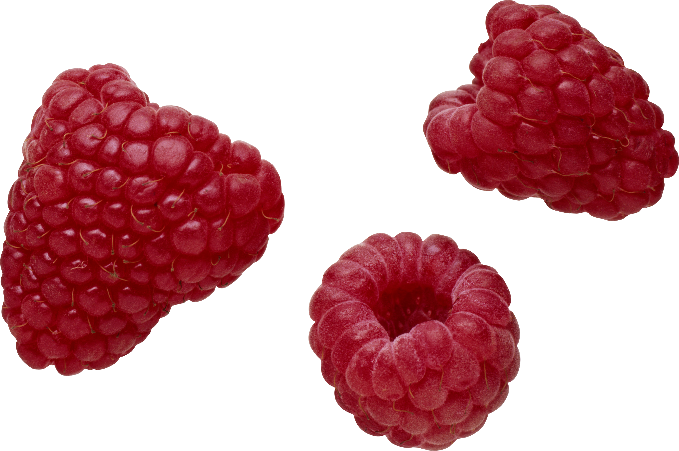 Raspberry PNG images free pictures download.