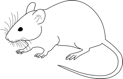 Mouse clip art.