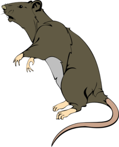 Rat Clipart.