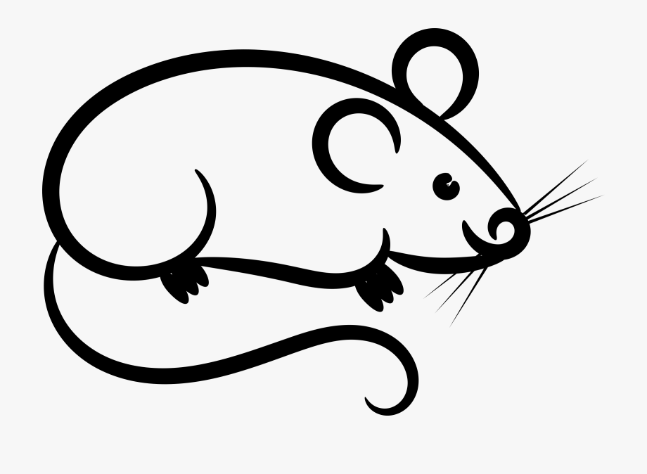 Rat Mouse Clipart White.