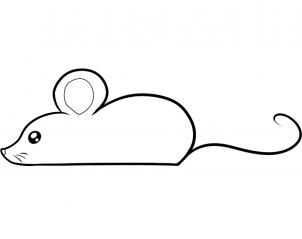 cute mouse drawing.