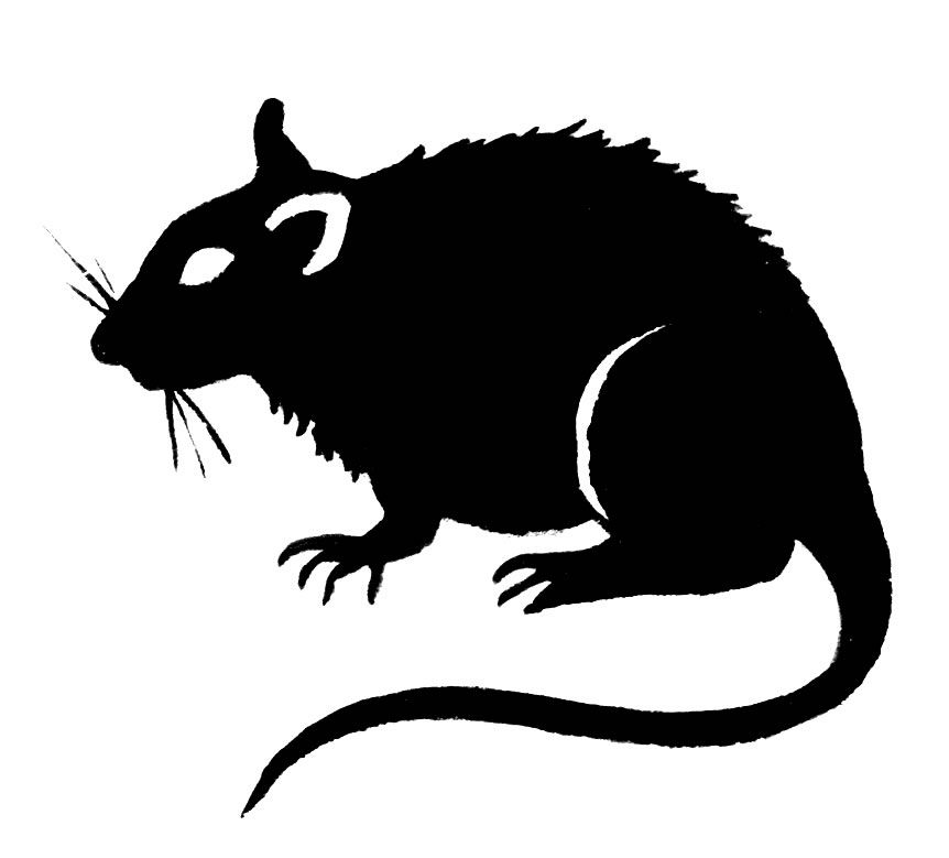 Rat Clip Art.