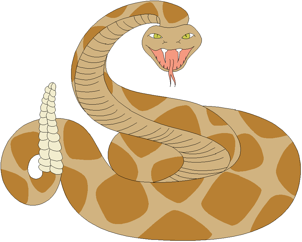 Rattlesnake clipart 20 free Cliparts | Download images on Clipground 2024