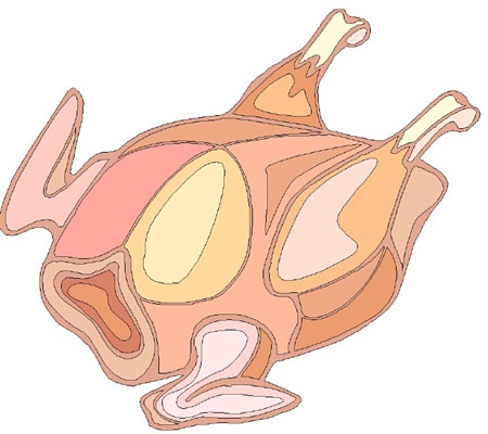 Raw Chicken Clipart.