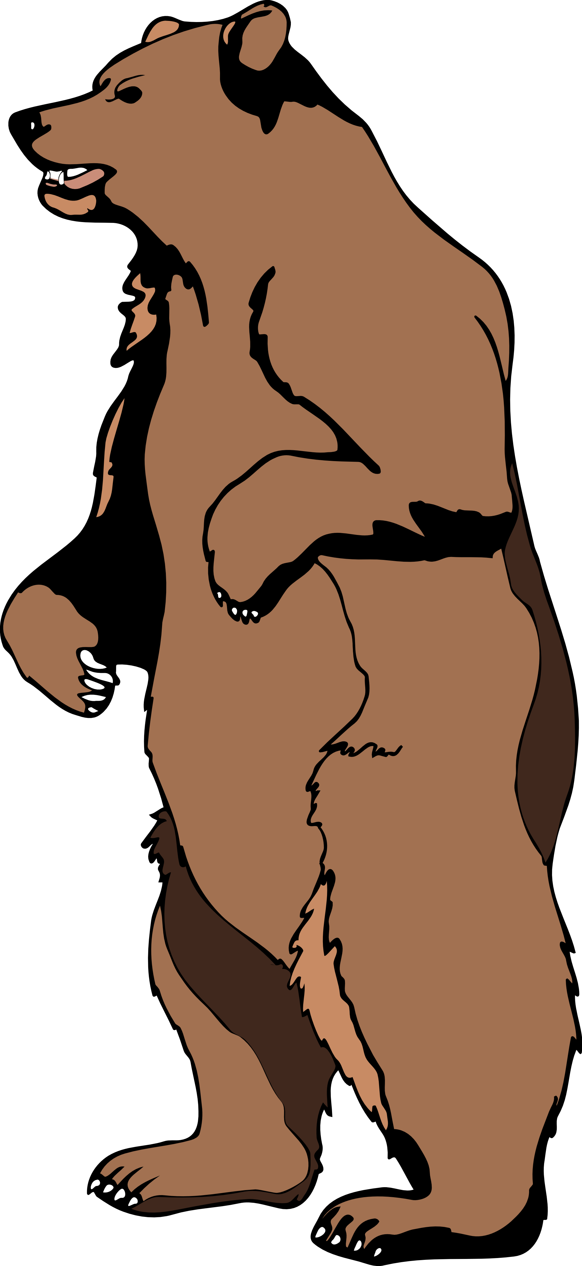 Grizzly bear clipart clipart images gallery for free.