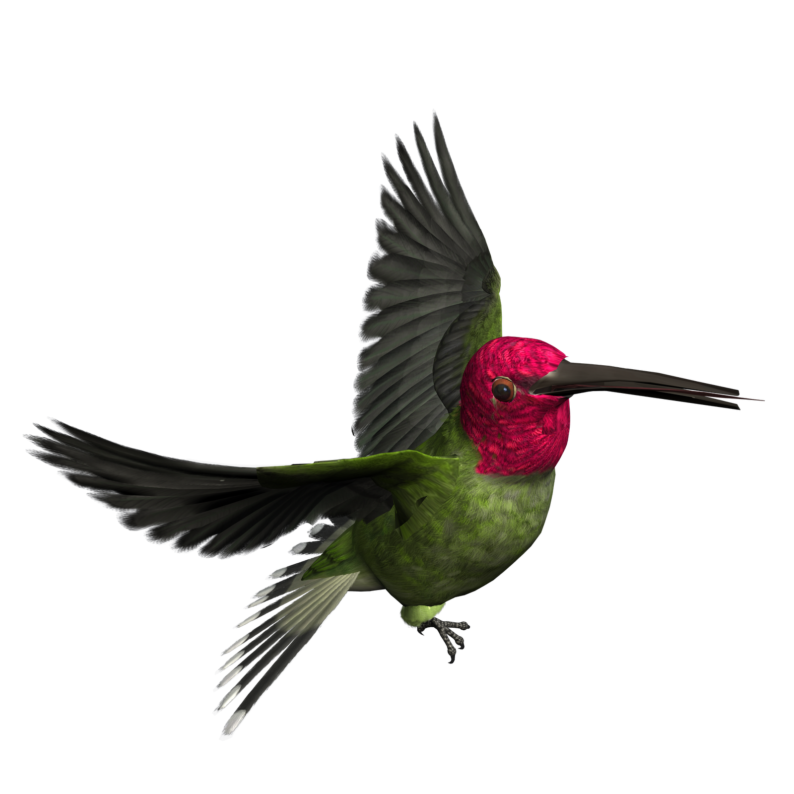 Free Bird Png, Download Free Clip Art, Free Clip Art on.