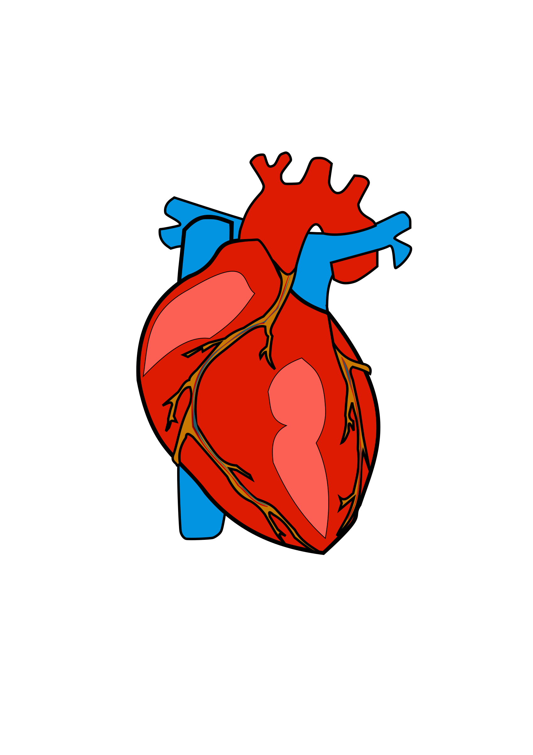 Real heart human heart clipart clipground 2.