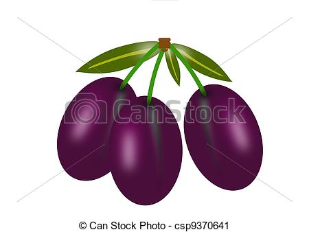 Plums Illustrations and Clip Art. 7,091 Plums royalty free.