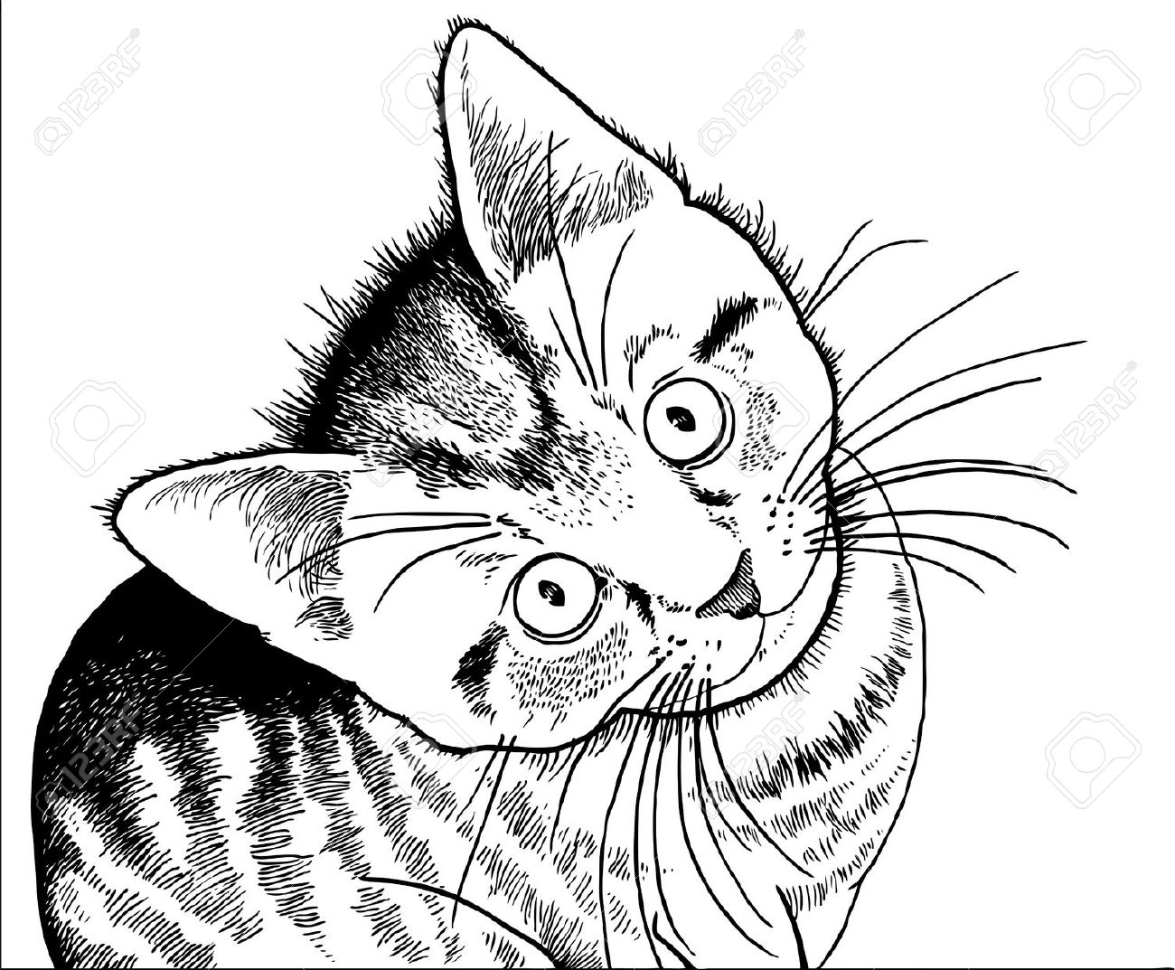 Realistic Animal Clipart Black And White Vector.