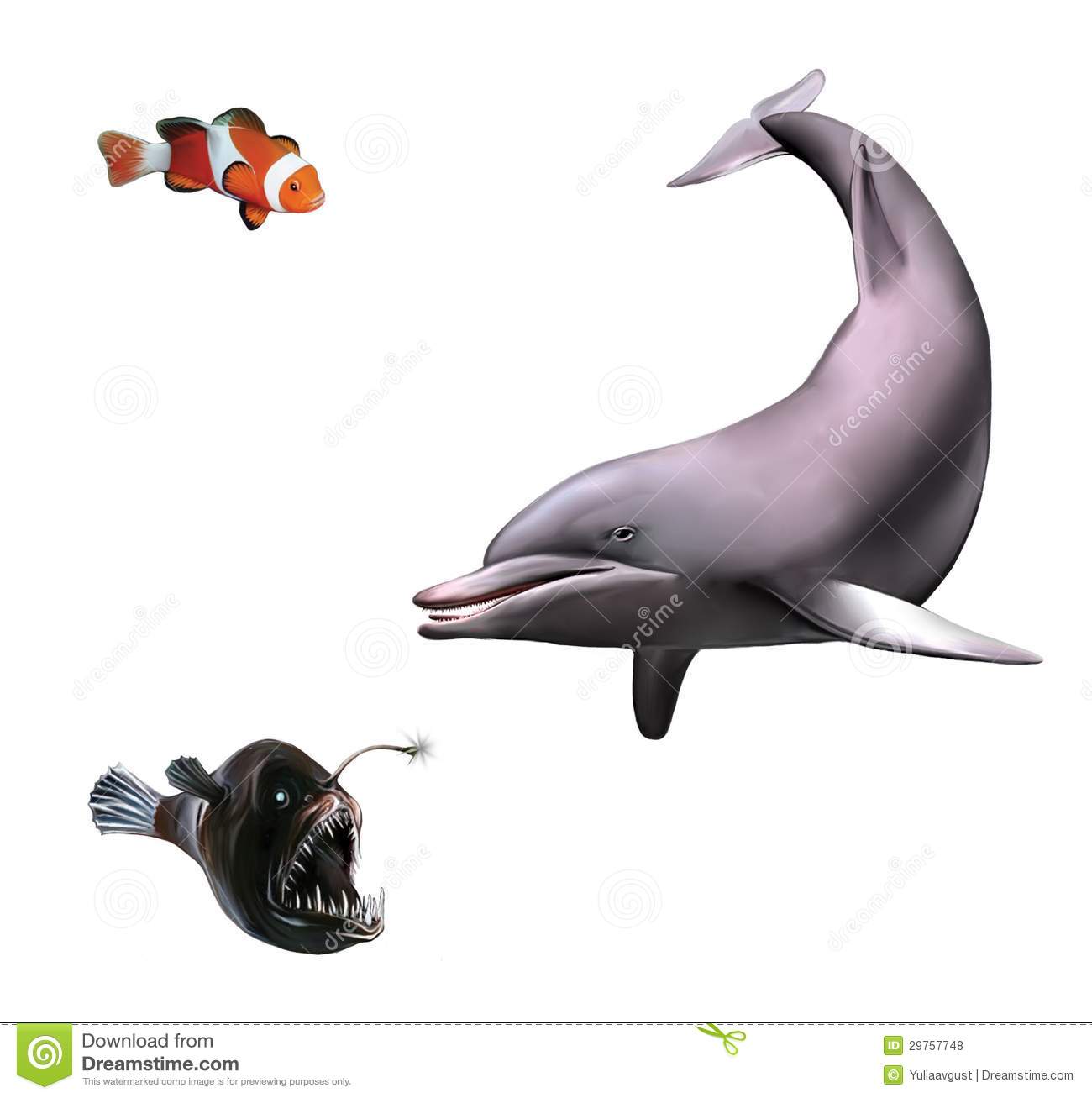 Young Dolphin. Monk Fish And Clown Fish Royalty Free Stock Photos.
