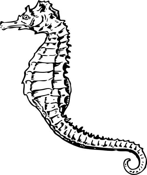 Seahorse clip art Free vector in Open office drawing svg ( .svg.