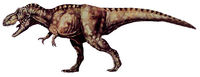Images: Tyrannosaurus Images.