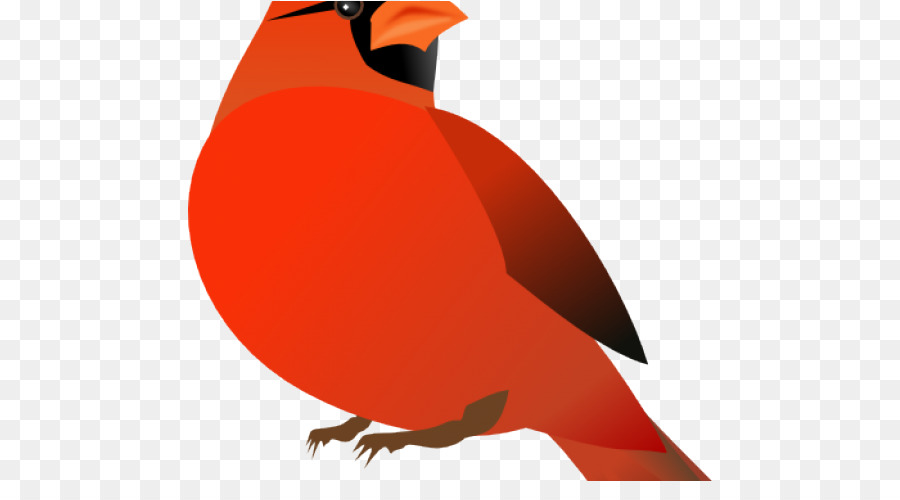 Cardinal Bird.