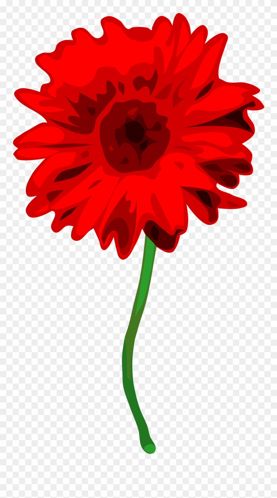 Gerbera Clipart Small.