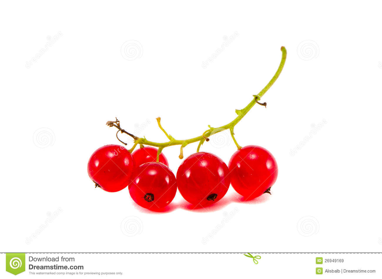 Red Currant Berry Cluster Isolated On White Royalty Free Stock.
