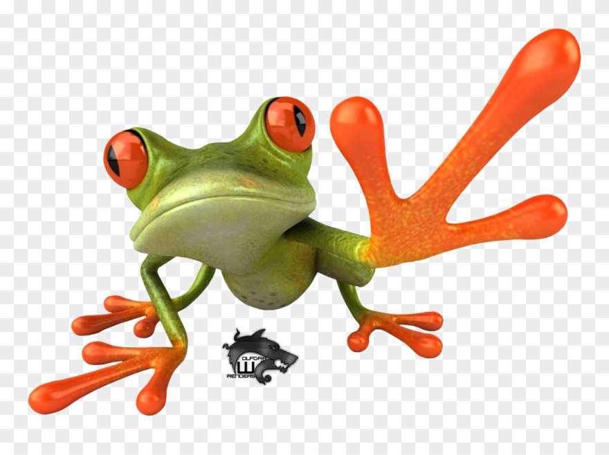 Red Eyed Tree Frog Clipart Transparent.