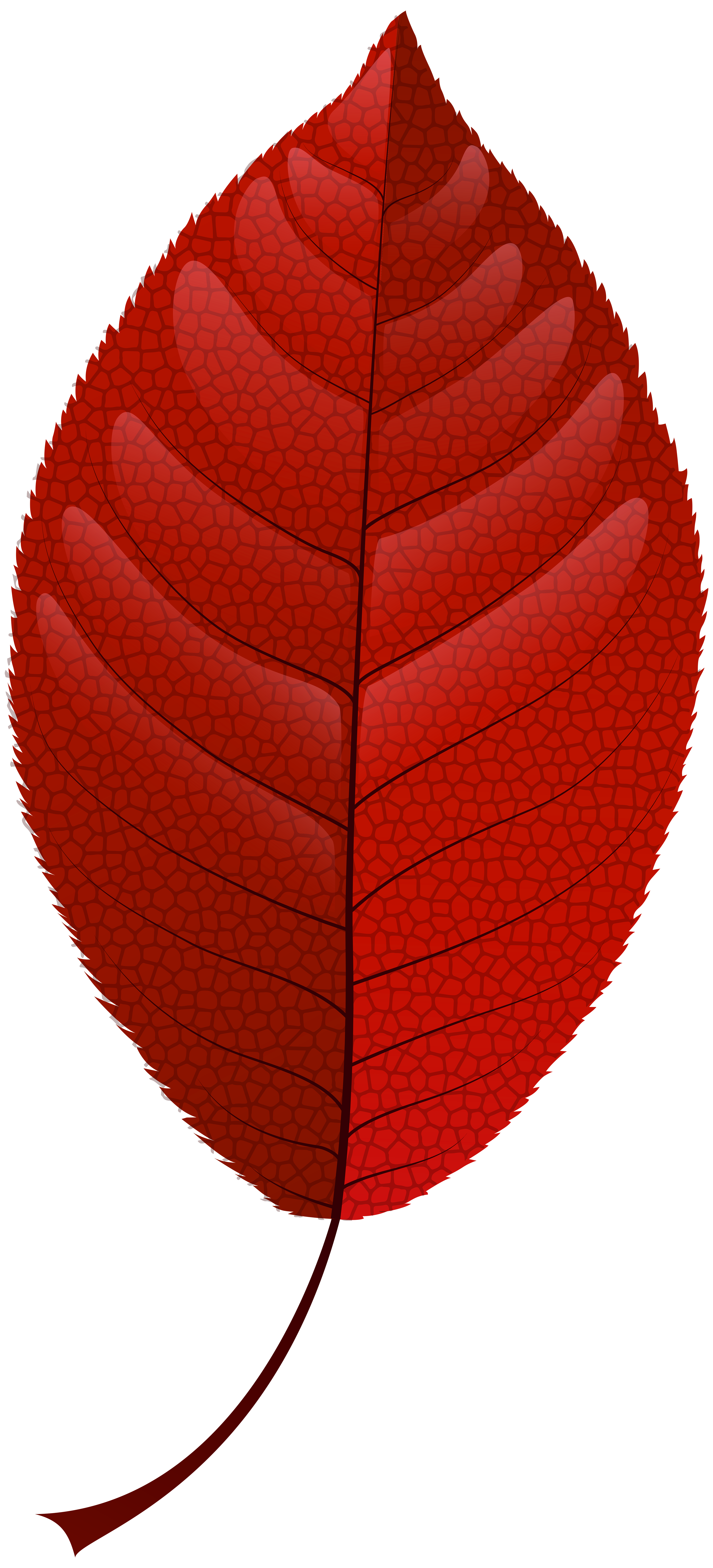 Red Fall Leaf PNG Clip Art.