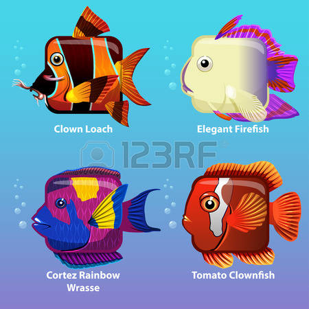Firefish Images & Stock Pictures. Royalty Free Firefish Photos And.