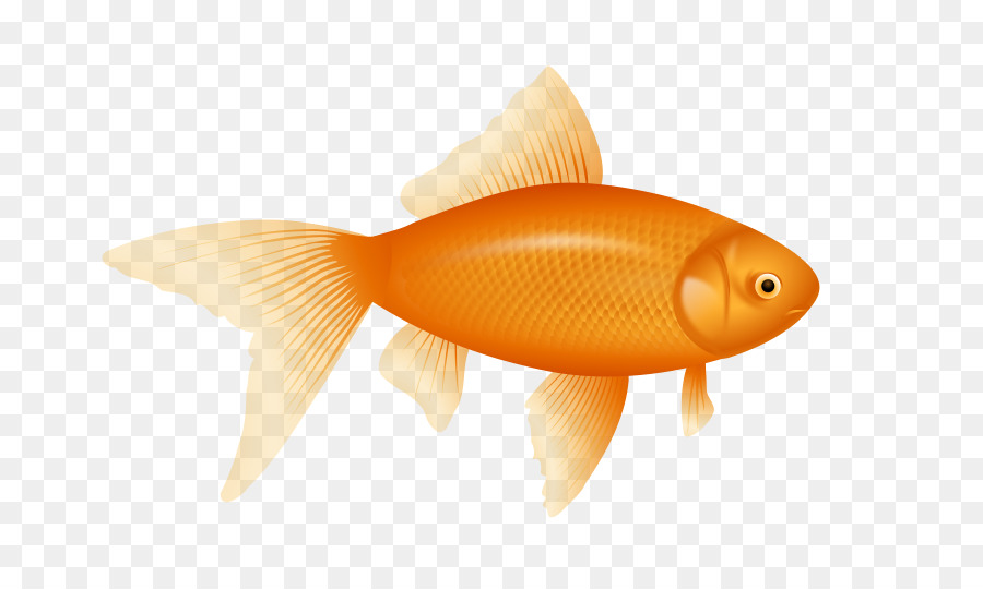 One Fish, Two Fish, Red Fish, Blue Fish Clip art.