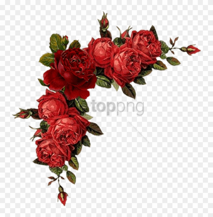 Colorful Floral Corner Borders Png Png Image With.