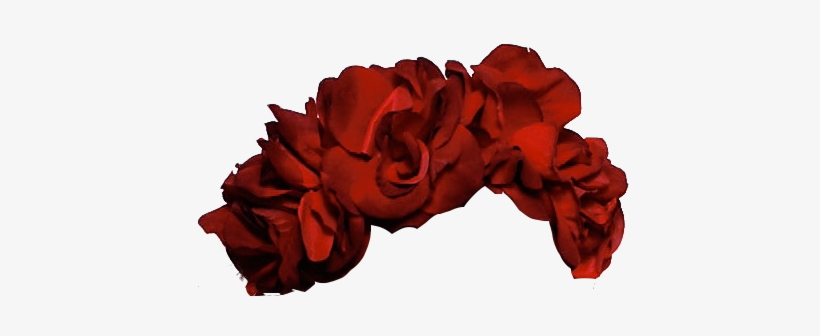red flower crown png 10 free Cliparts | Download images on Clipground 2021