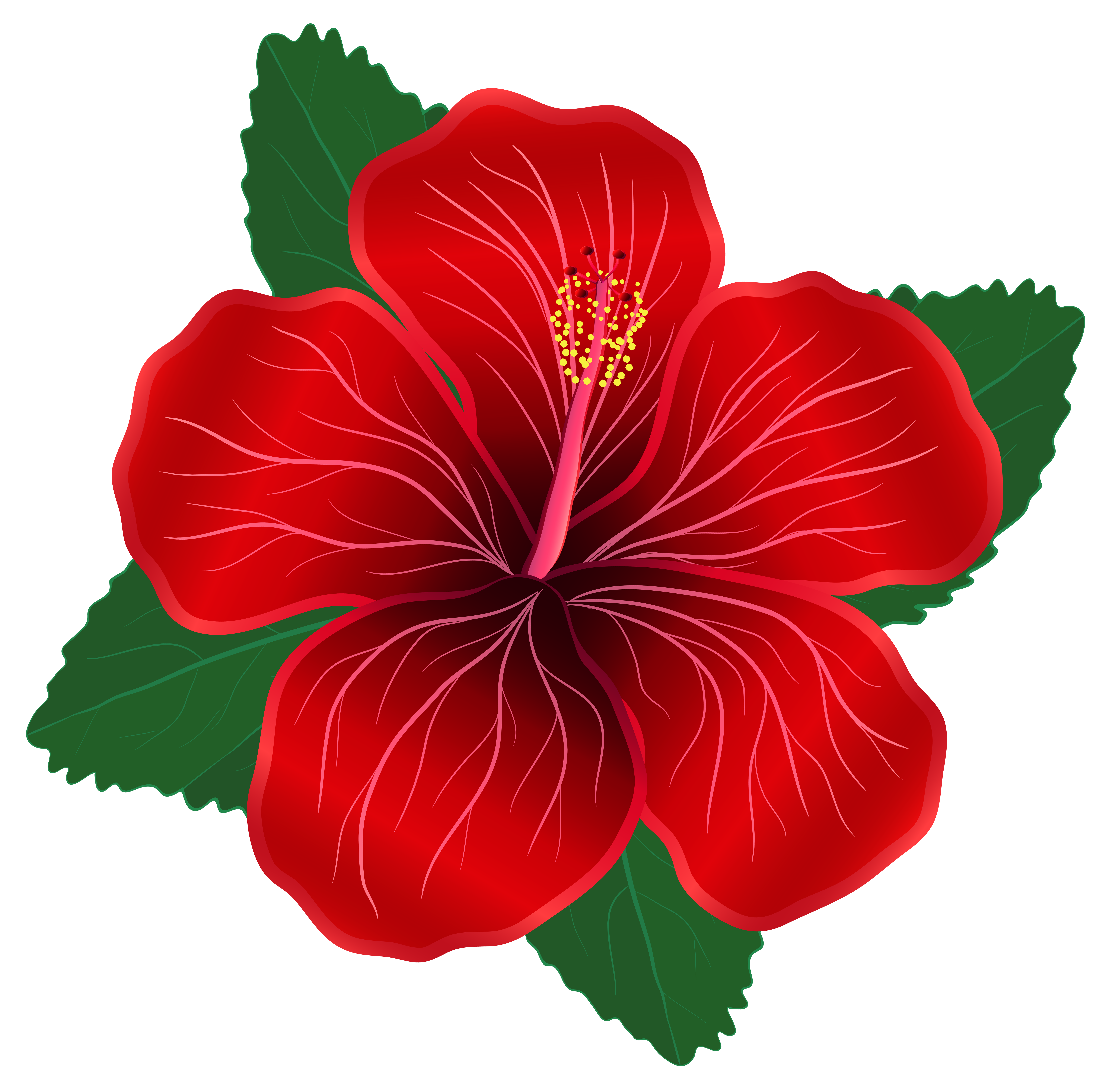 Red Flower PNG Clipart Image.
