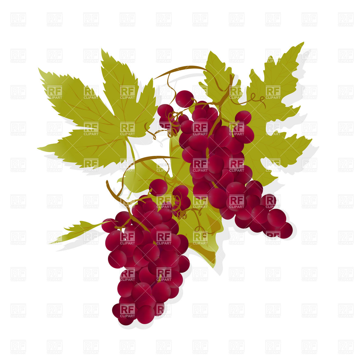 Red Grapes Clipart.