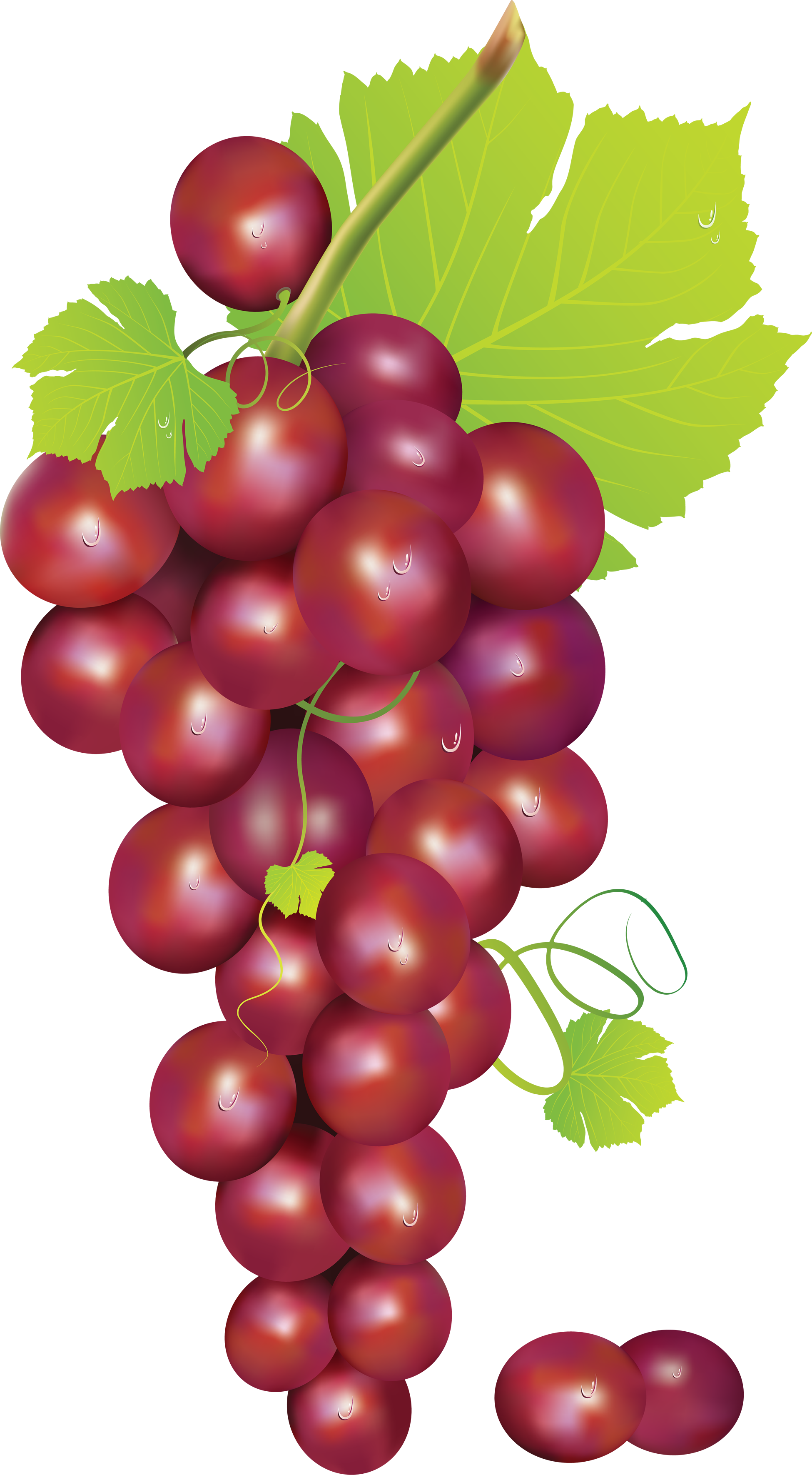 Grape PNG image, free picture download.