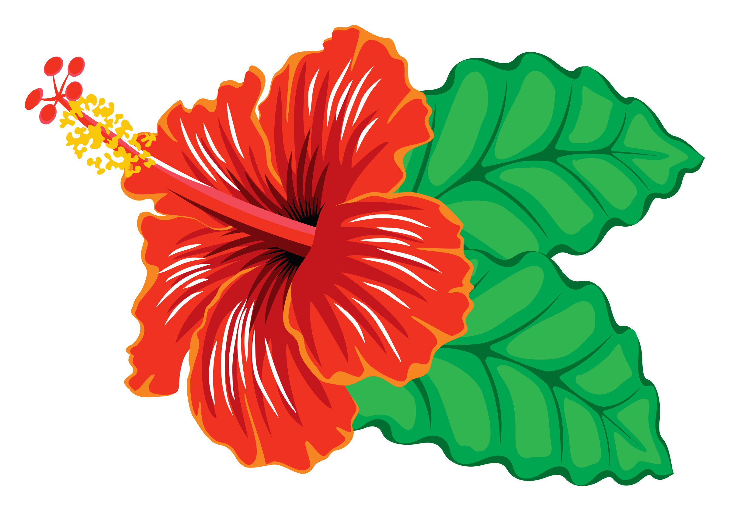 red-hibiscus-clipart-20-free-cliparts-download-images-on-clipground-2023