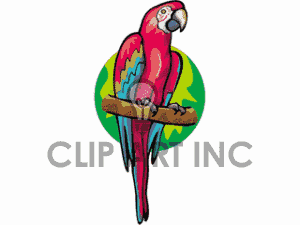 Scarlet macaw clipart.