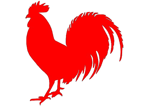 Red Rooster Host Farm Accommodation.