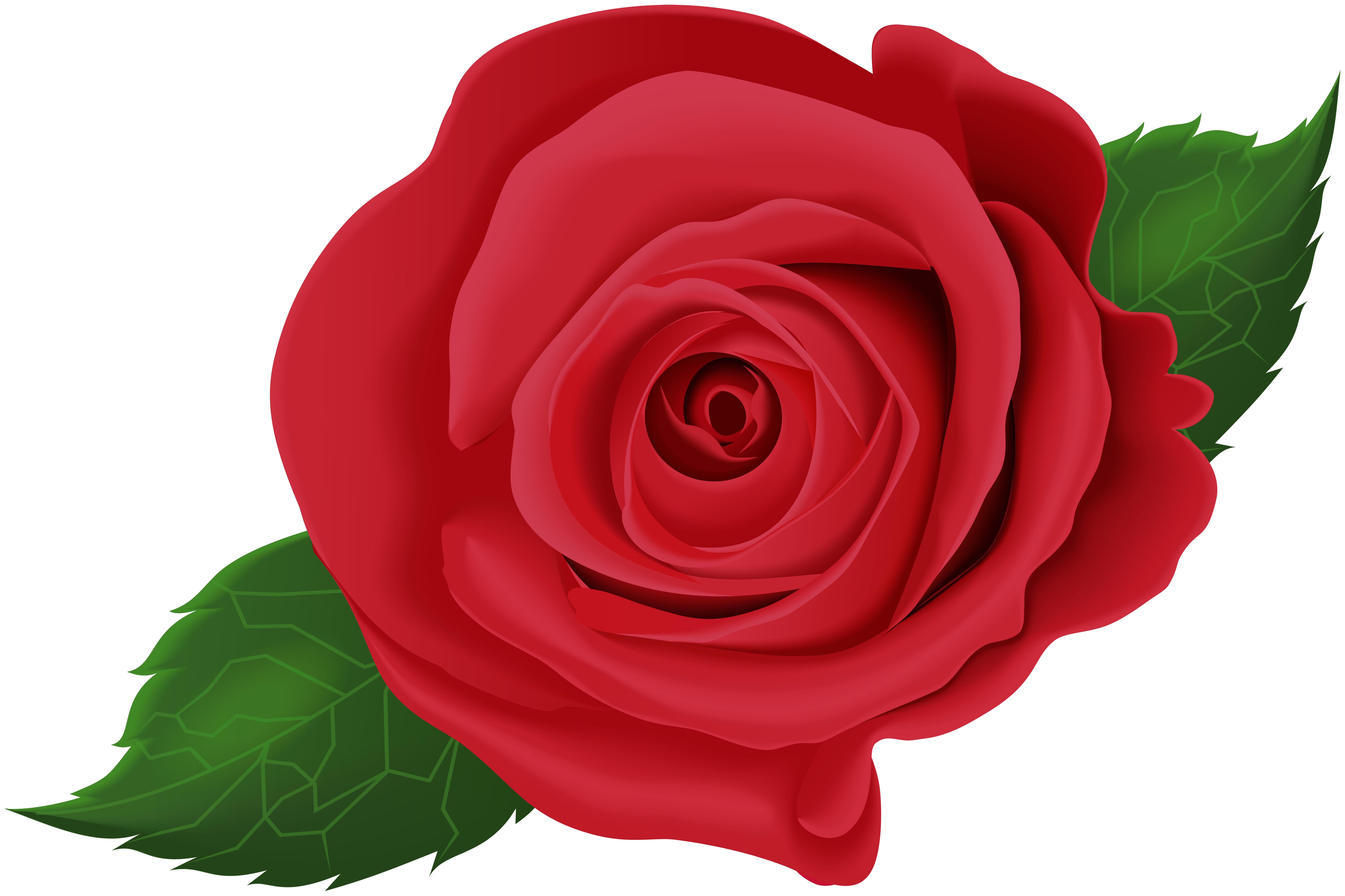 Red Rose with Leaves PNG Clip Art Image.