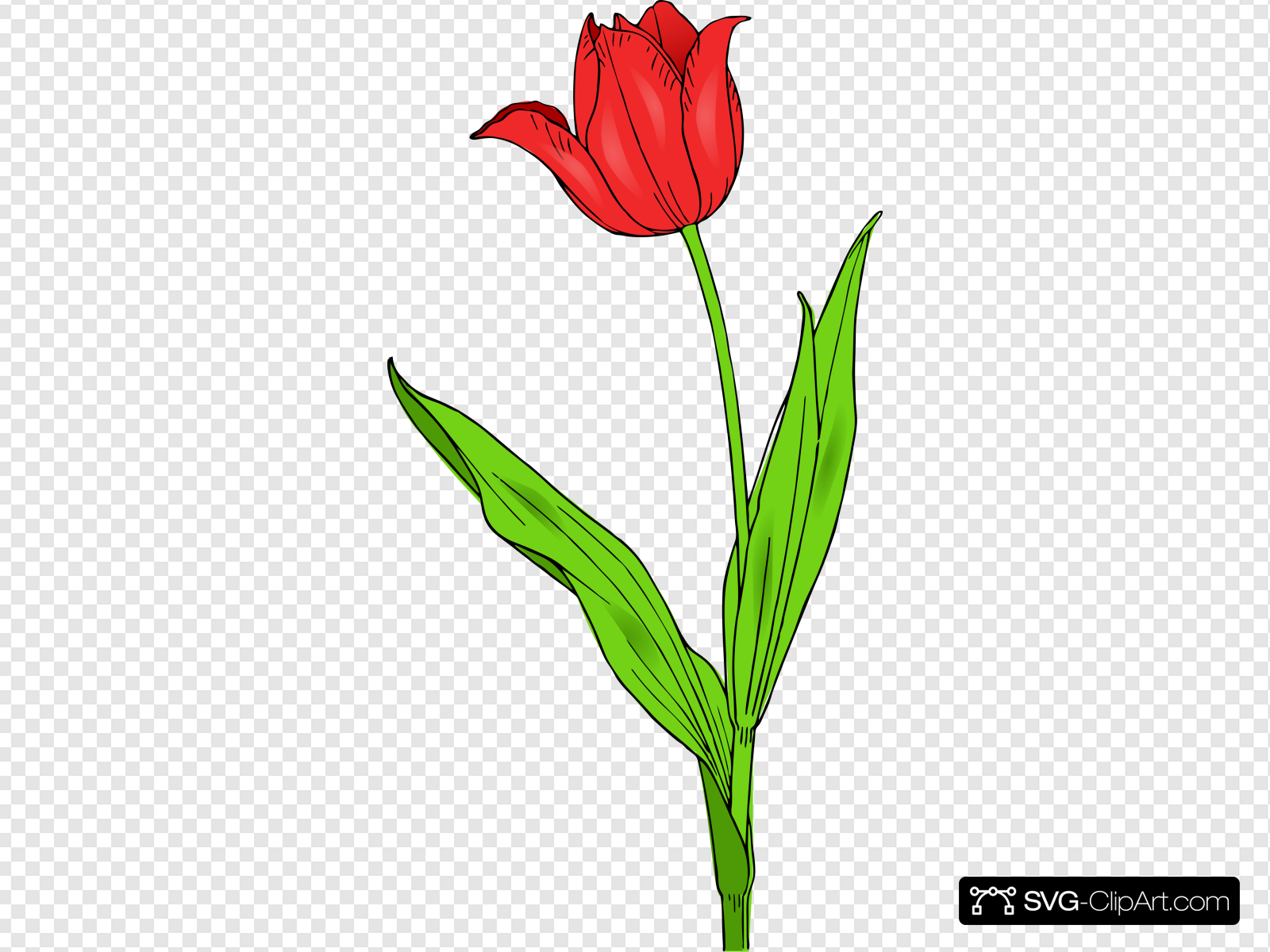Red Tulip Clip art, Icon and SVG.