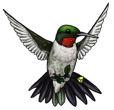 17+ images about hummingbird clipart on Pinterest.