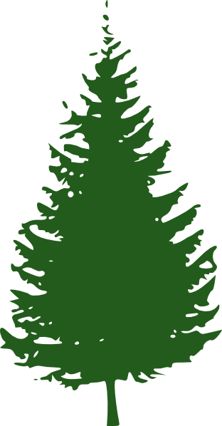 Free Redwood Tree Cliparts, Download Free Clip Art, Free.