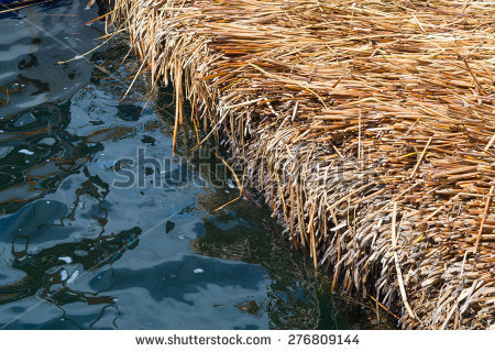 Reed islands Stock Photos, Images, & Pictures.