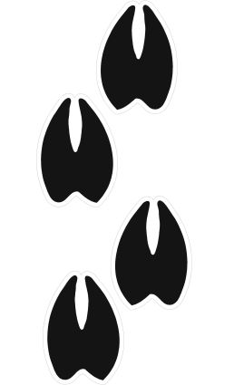 Free Deer Footprints Cliparts, Download Free Clip Art, Free.