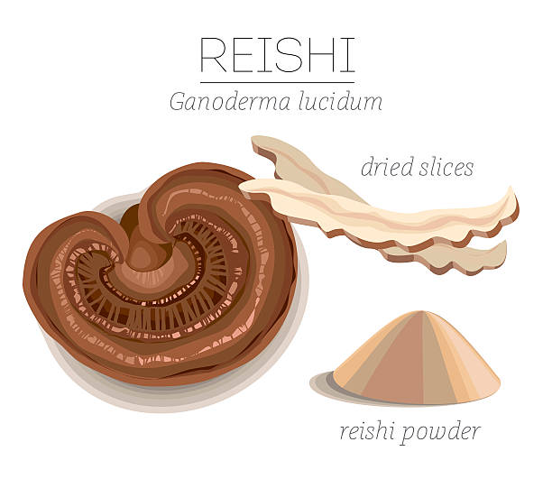 Reishi Clip Art, Vector Images & Illustrations.