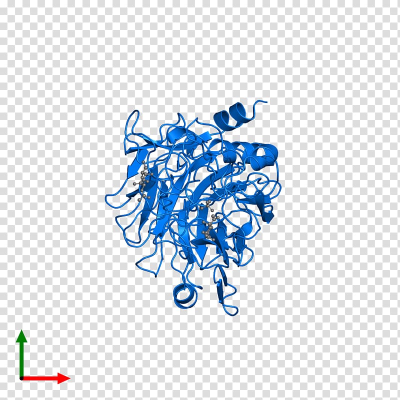 Protein Data Bank DNA mismatch repair Crystallographic.