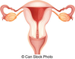 Reproductive Illustrations and Clip Art. 2,368 Reproductive.
