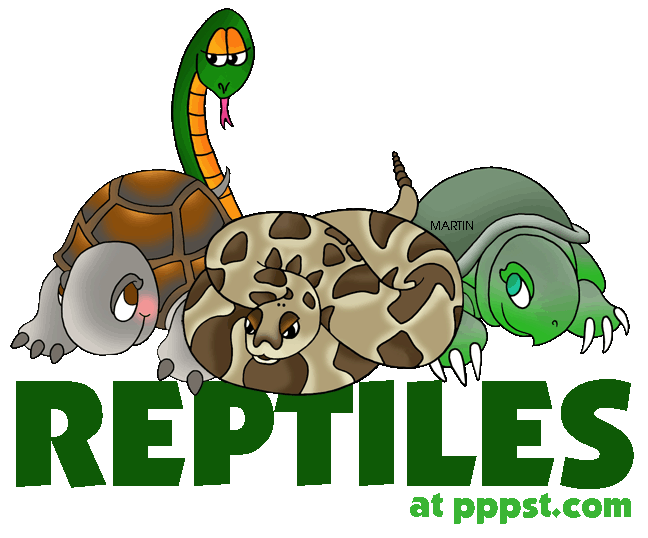 Reptil clipart 20 free Cliparts | Download images on Clipground 2024