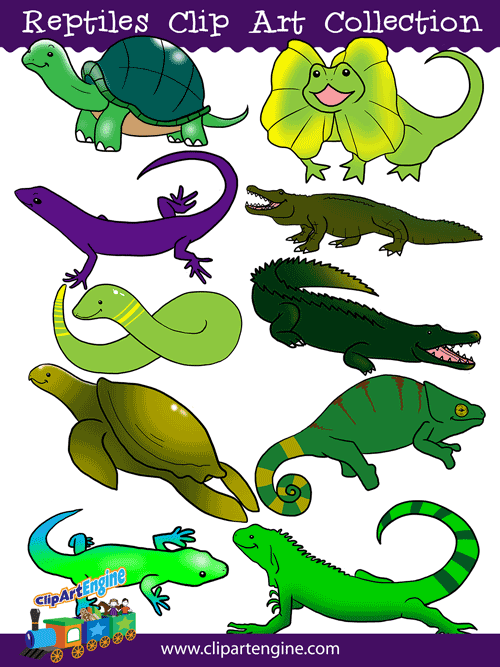 Reptiles clipart 20 free Cliparts | Download images on Clipground 2024