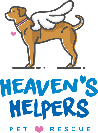 Heaven's Helpers Pet Rescue: Dallas, Texas dog rescue.
