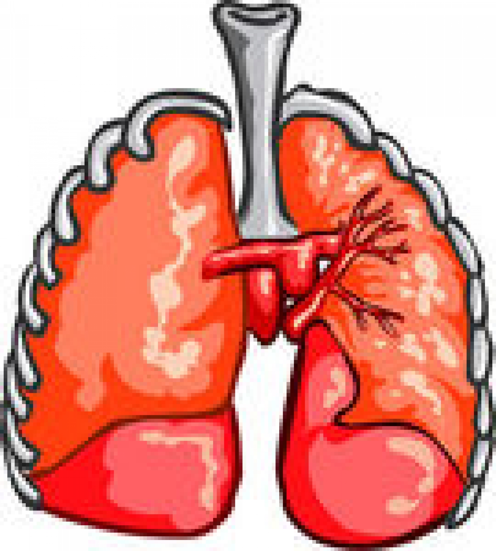 respiratory clip art art.