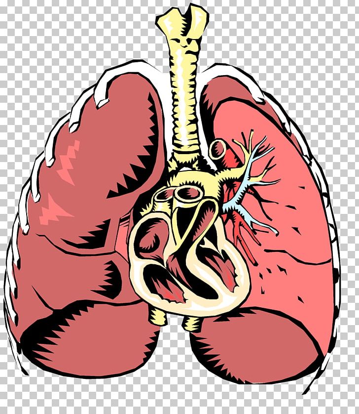 Respiratory Disease Respiratory System Respiratory Tract.