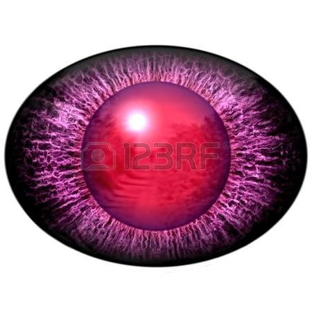 0 The Retina Stock Vector Illustration And Royalty Free The Retina.