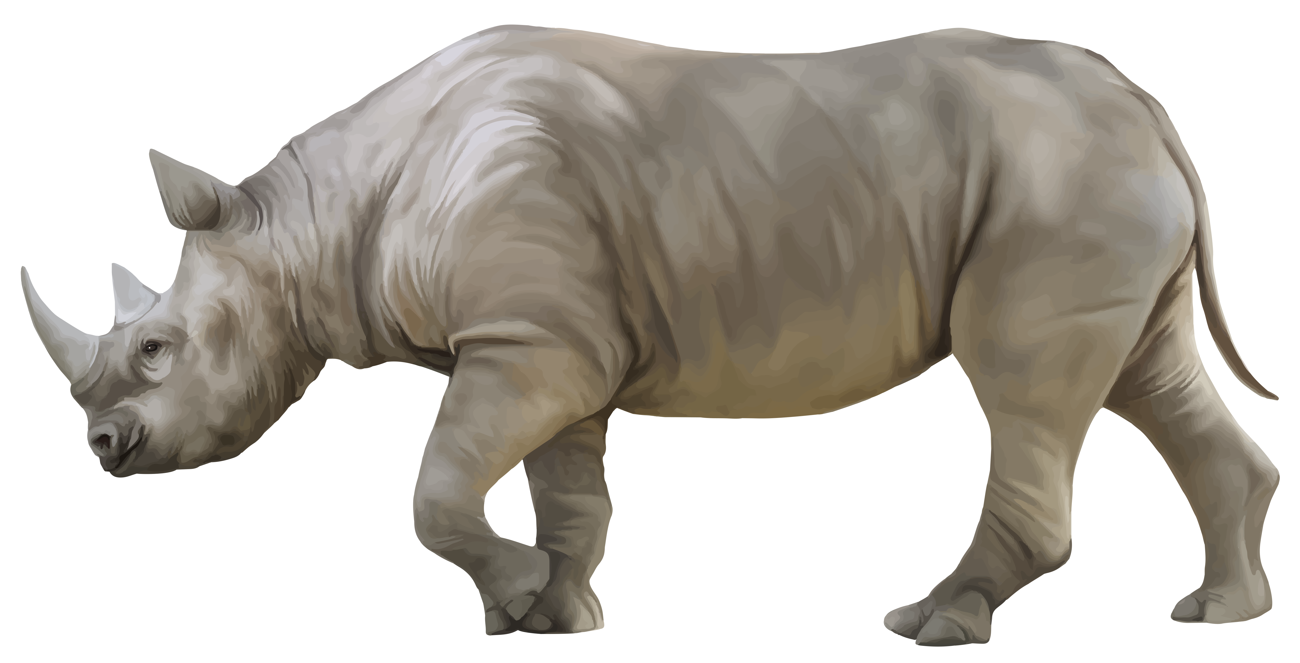 Rhino PNG Clipart.